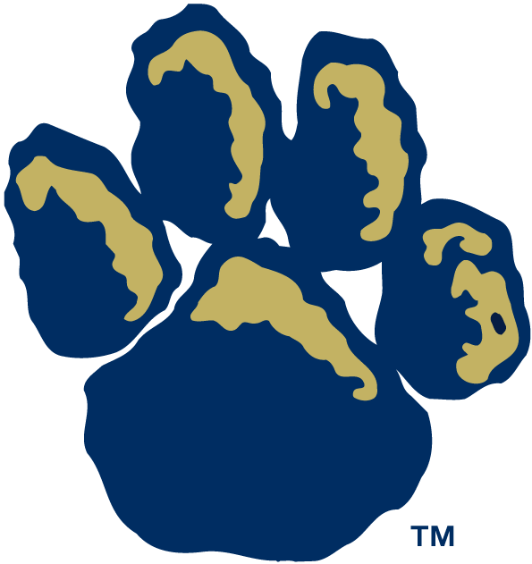 Pittsburgh Panthers 1997-Pres Alternate Logo v2 iron on transfers for fabric